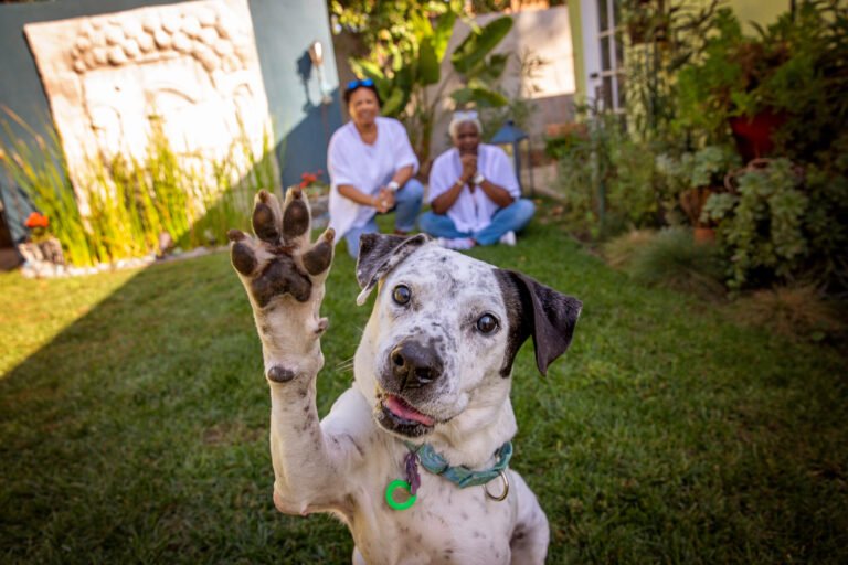 Image Credit: Best Friends Animal Society