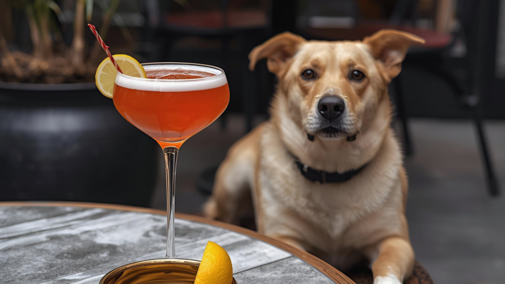 Puppy Hour at Palate