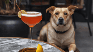Puppy Hour at Palate