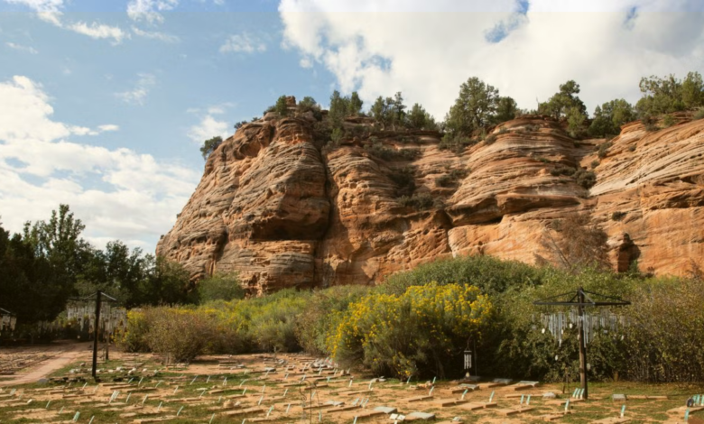 Image Credit: Best Friends Animal Sanctuary