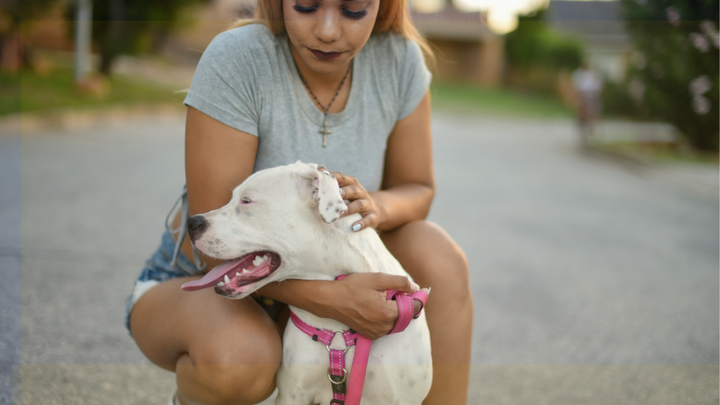 Path To Furever Home Sunday Adoption Event