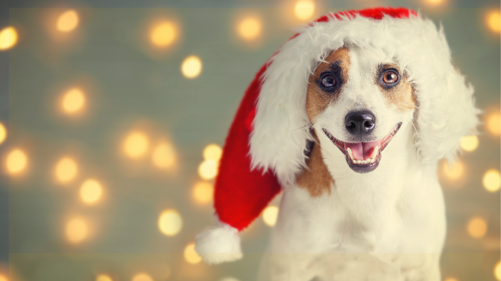 Howling for the Holidays