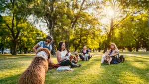 Dog Lovers Dog Park Meet-up
