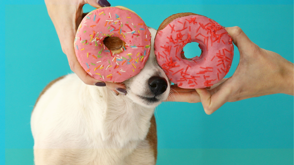 Doggos & Donuts