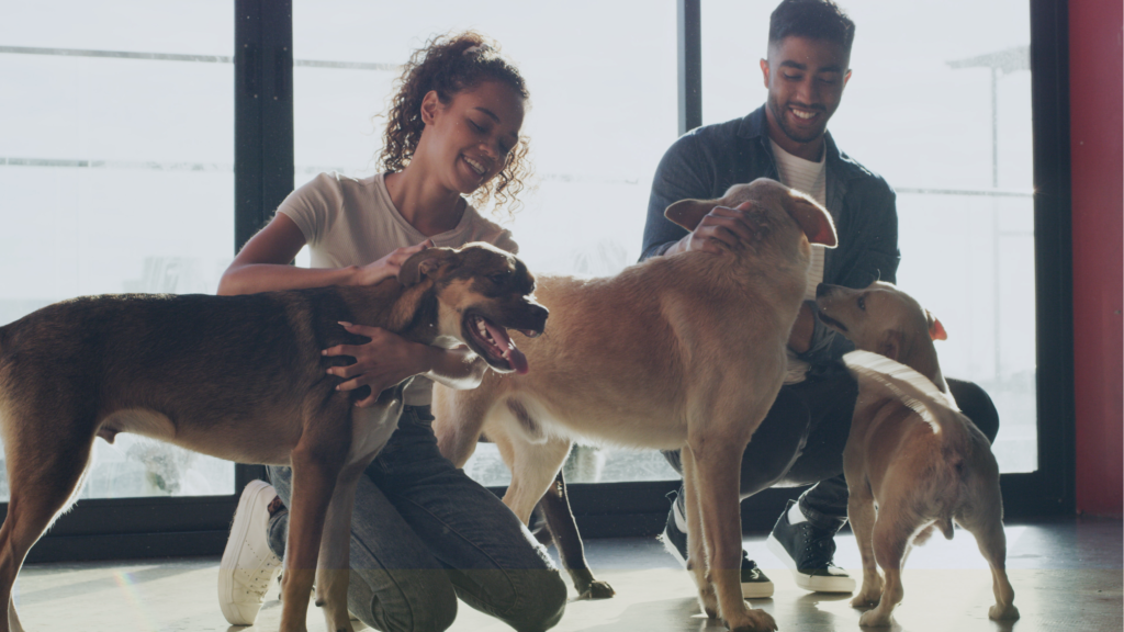 Multi-Rescue Foster & Adoption Event