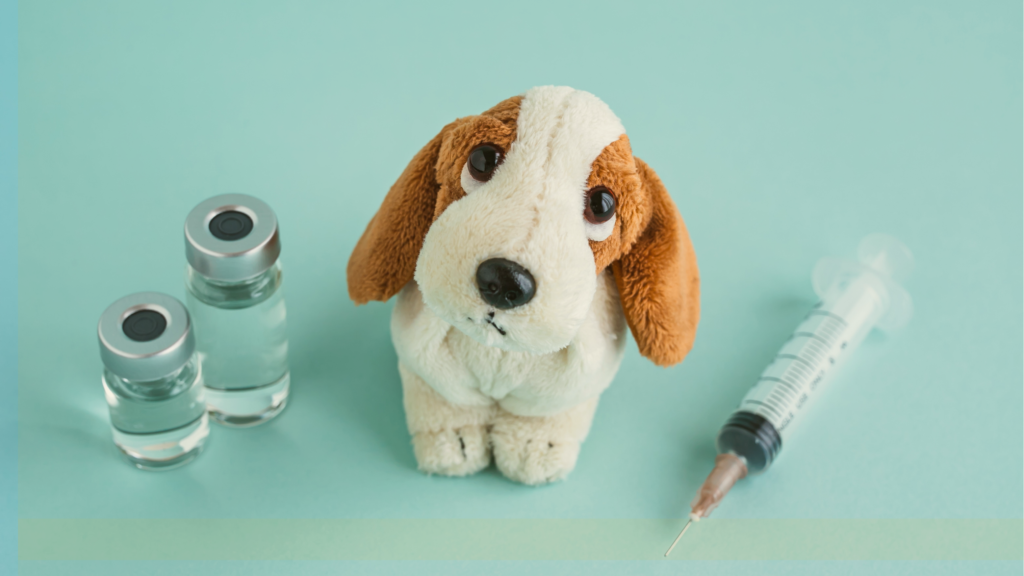 Free Microchips & Vaccines