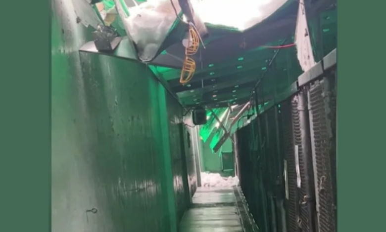 Image Credit: Associated Humane Society Newark & CBS