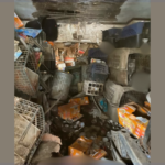 Image Credit: Fox8 | Dayton Humane Society