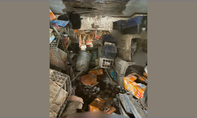 Image Credit: Fox8 | Dayton Humane Society