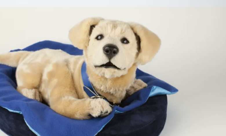 Image Credit: TOMBOT