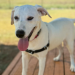 Image Credit: KNES 5 Staff