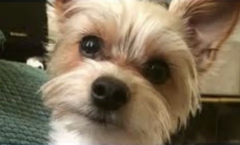 Image Credit: People | Volusia Sheriff's Office