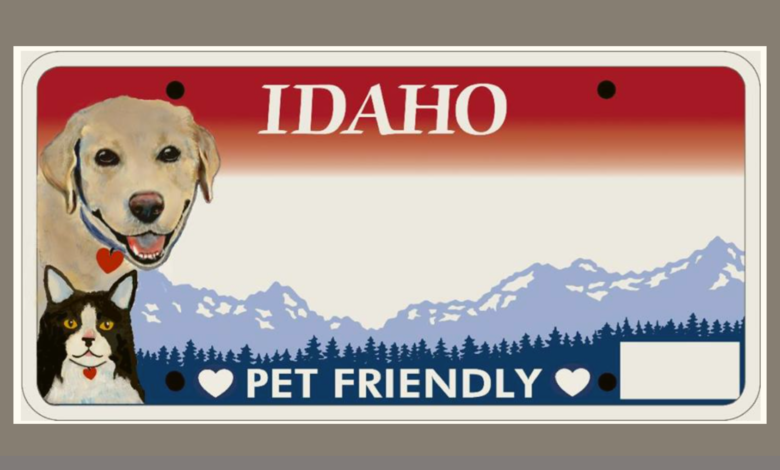 Image Credit: PetFriendlyPlate.com