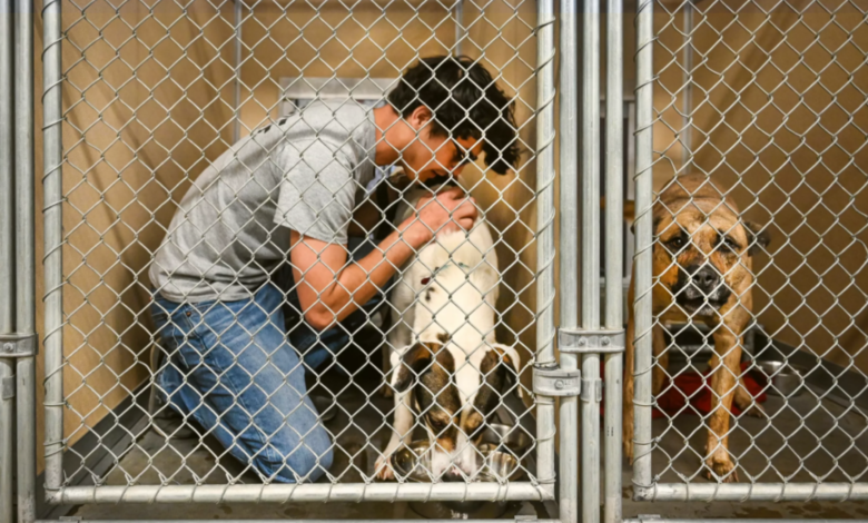 Image Credit: Dan Pelle / The Spokesman-Review