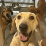 Image Credit: CBC.ca