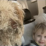 Image Credit: WRAL.com