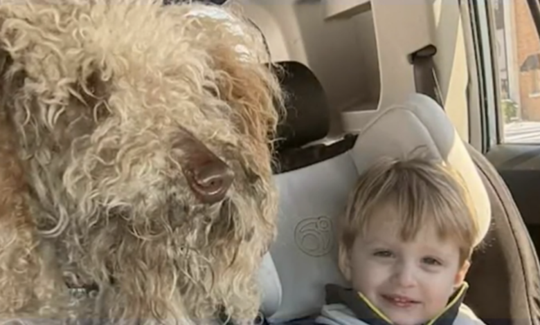 Image Credit: WRAL.com