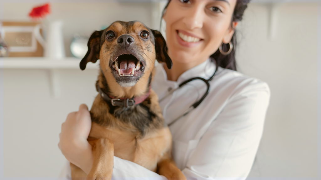 Namaste Days: Free Spay & Neuter Services