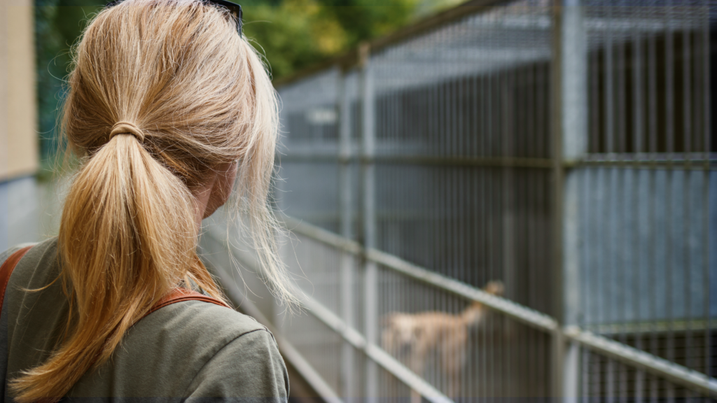 Give a Dog a Second Chance Adoption Event