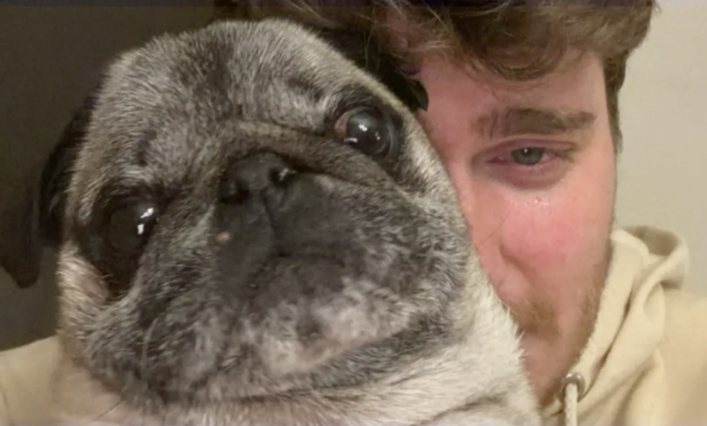 Image Credit: The-Sun