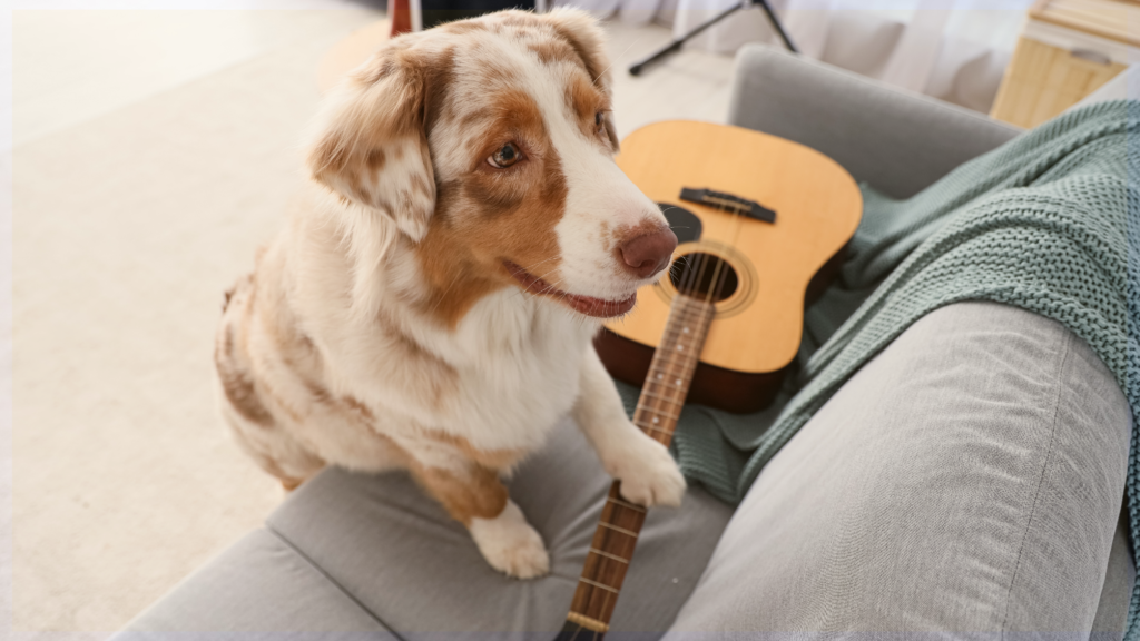 Fur the Love of Music: Valentine’s Fundraiser