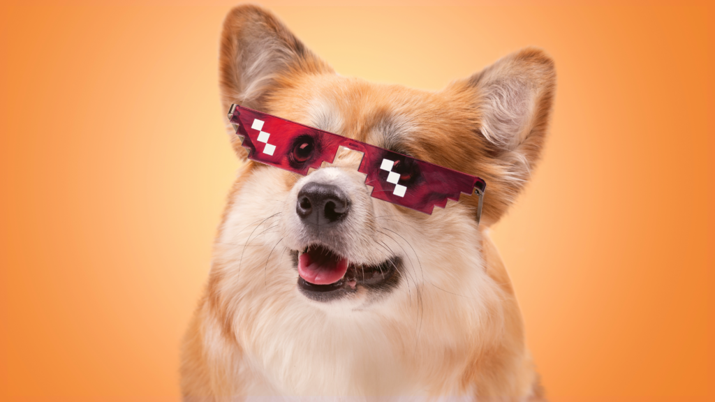 Electric Corgi Carnival