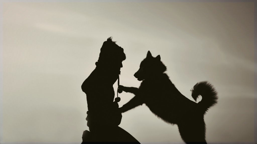 OneHealth: The Connection Between Animals, Humans & The Environment