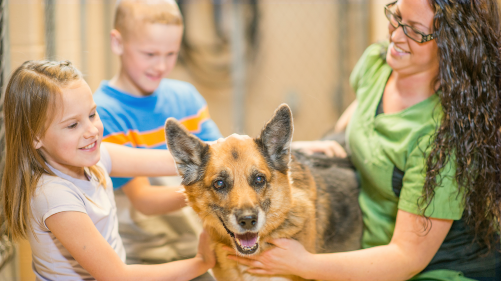 St. Pawtrick’s Adoption Event and Fundraiser