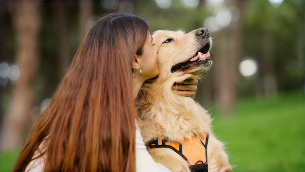 Goldens Only Social walk