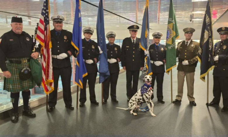 Image Credit: Canine USO Program | 8 News Now