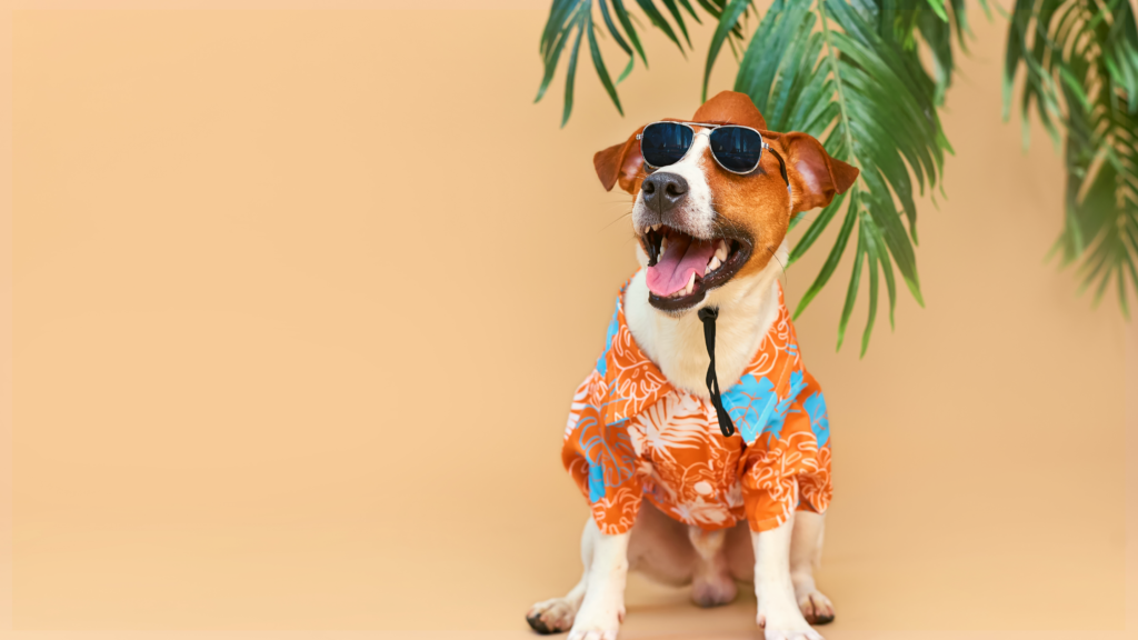 Phin City Parrothead Phlocking & Charity Drive