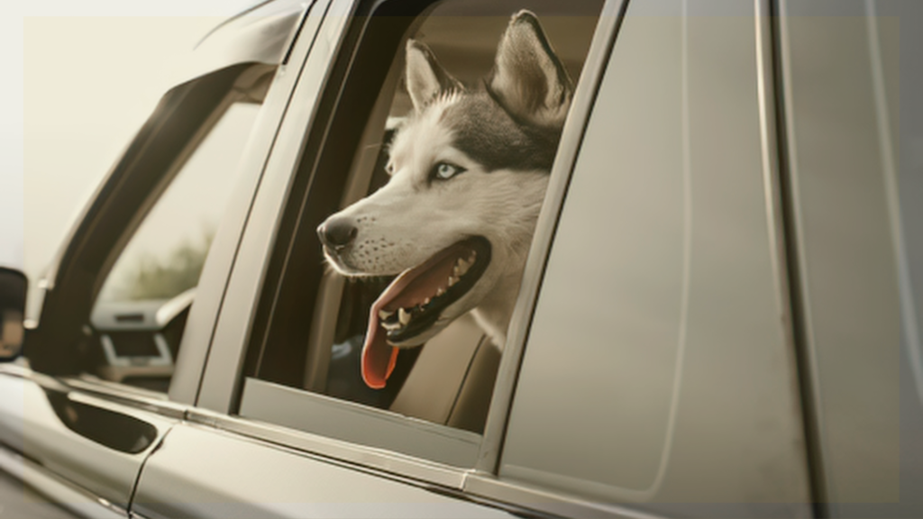 Pup Paw-ty: Dogs in the Drive-Thru at Chick-fil-A