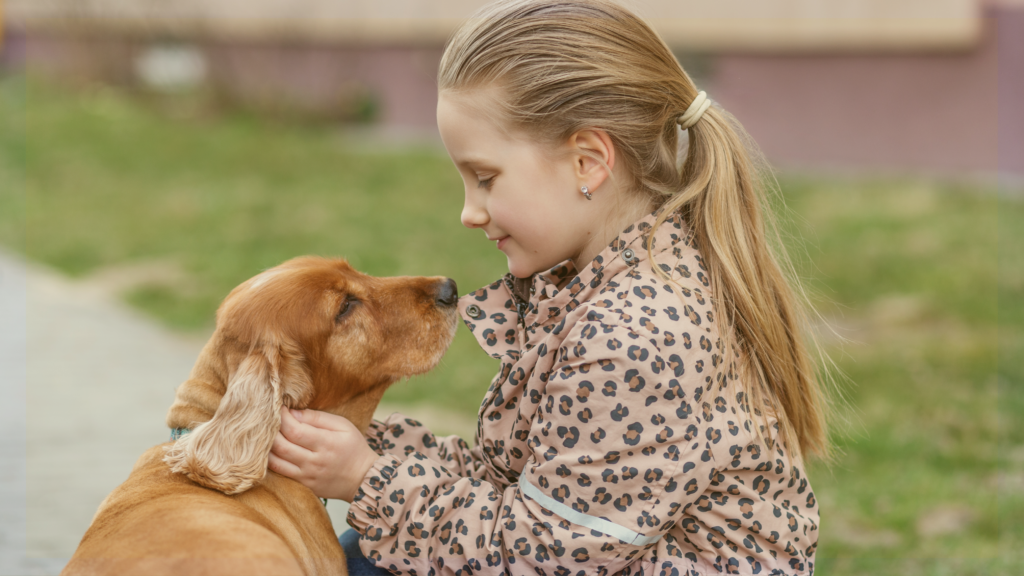 Foster & Adoption at Mershops