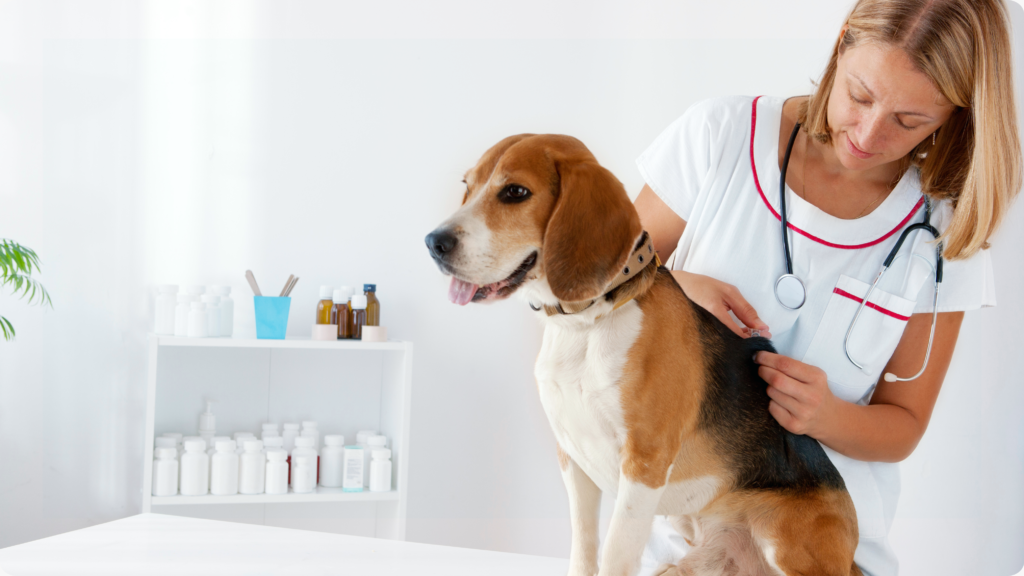 Pop-up Vaccine Clinic
