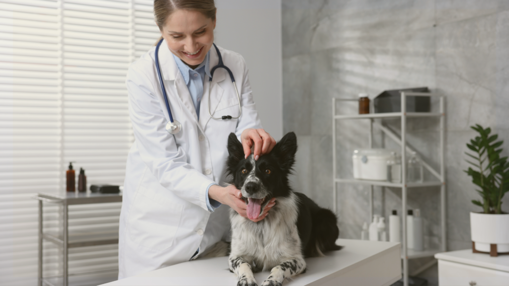 Free Pet Wellness Clinic – Reno