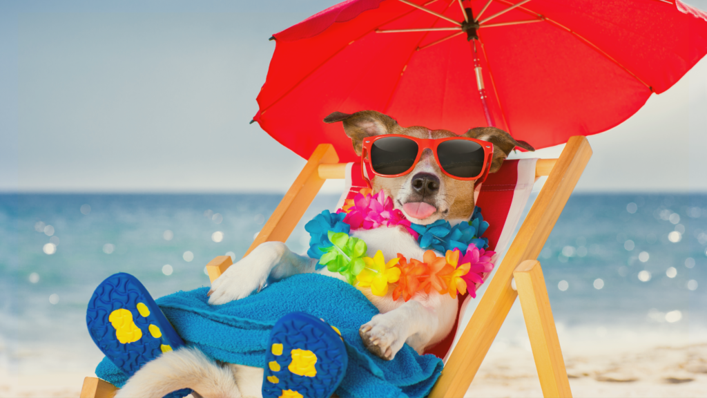Tropical Tunes & Tail Wags