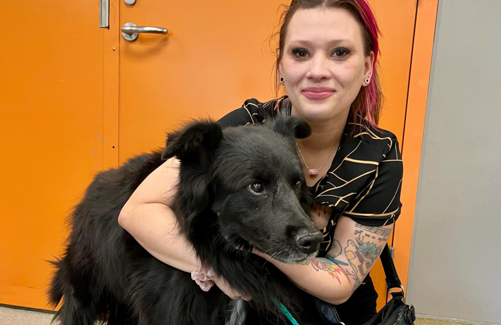 Las Vegas Dog Lost for Six Years Found Alive, Reunited With Owner ...