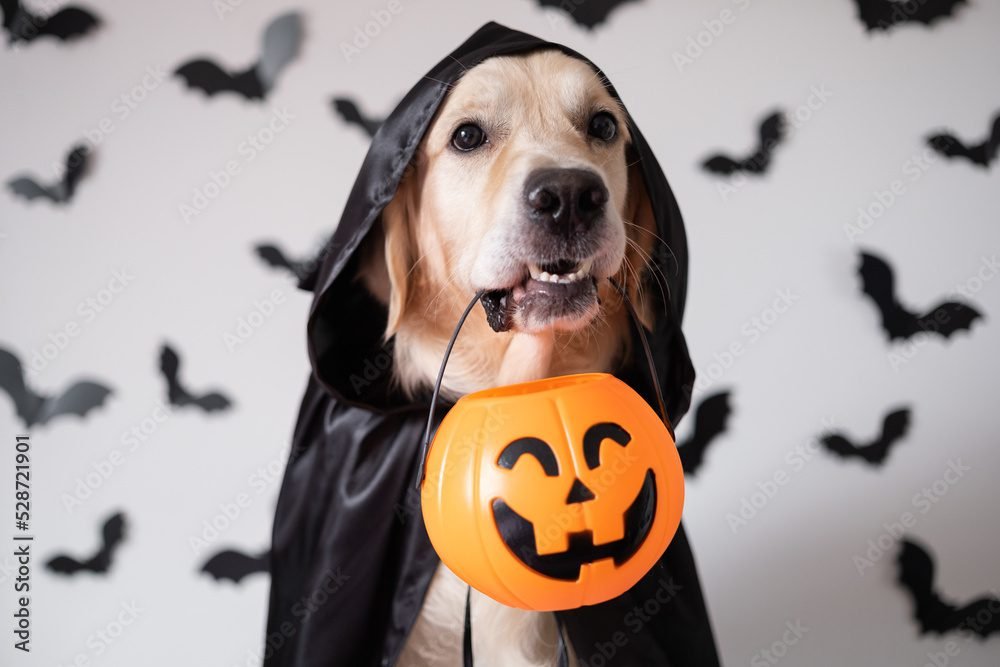 2nd Annual Halloween Market & Pet Costume Contest – Virginia City