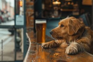 Pints for Paws