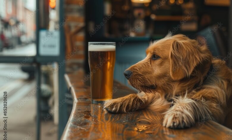 A dog rests its paw on the bar counter, gazing at a glass of beer, seemingly thirsty on a dog-friendly patio