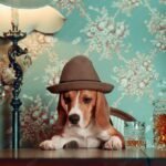 beagle dog in a hat sits at a table and drinks whiskey
