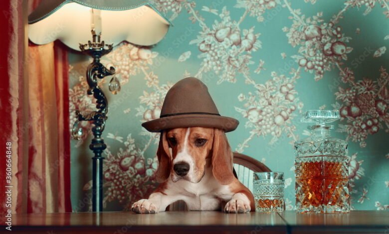 beagle dog in a hat sits at a table and drinks whiskey