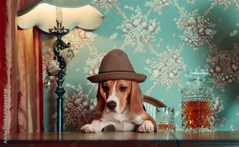 Whiskey & Woofs – Distilleries of Kentucky