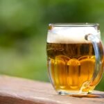 beer, drink, glass, pilsner, alcohol, beer head, beer foam, beverage, brewed, beer glass, pub, beer, beer, beer, beer, beer, pilsner, pilsner, pilsner, pilsner