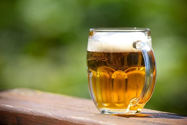 beer, drink, glass, pilsner, alcohol, beer head, beer foam, beverage, brewed, beer glass, pub, beer, beer, beer, beer, beer, pilsner, pilsner, pilsner, pilsner