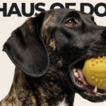 Image Credit: Haus of Dog