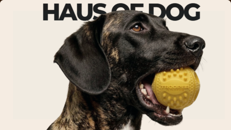 Image Credit: Haus of Dog