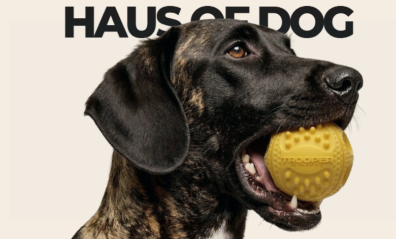 Image Credit: Haus of Dog