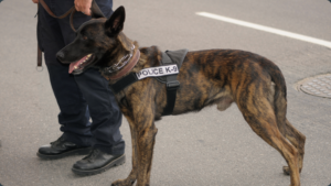 Fallen K9 Memorial Event