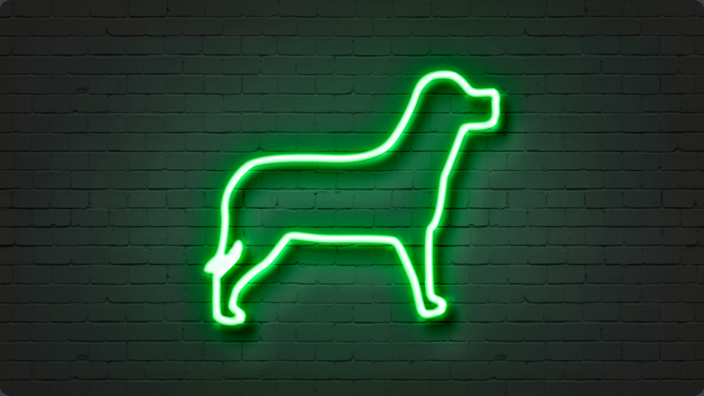 6th Annual Neon Dog Walk